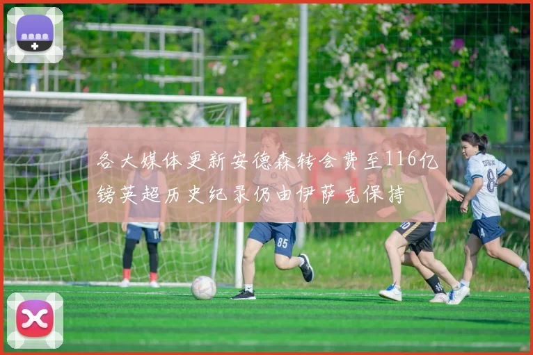 各大媒体更新安德森转会费至116亿镑英超历史纪录仍由伊萨克保持